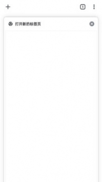 google浏览器官方 v2.0.5