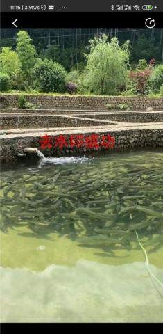 悟空全能去水印下载器 2020-07-06 17:03