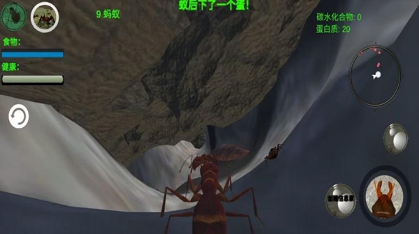 奇妙动物世界探险 v1.0