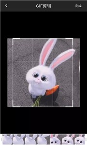 GIF制作器引力  v5.8