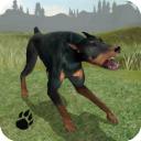 狗狗生存模拟器