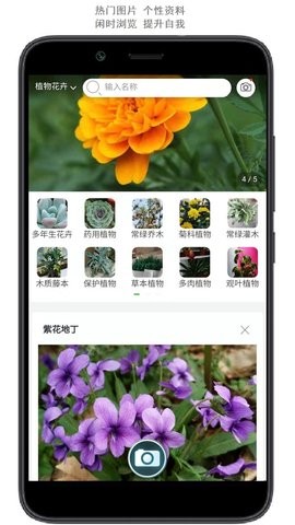 行色识花  v2.1.18