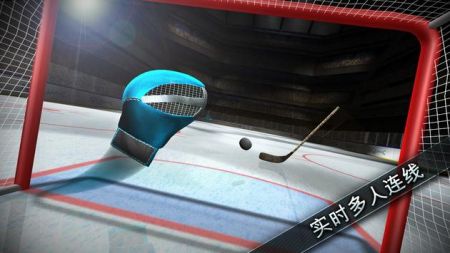 曲棍球决战Hockey Showdown v3.0.5