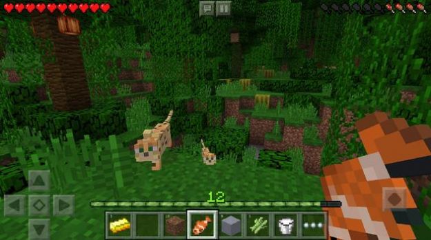 我的世界骗赞服务器手机版游戏  v5.3.4