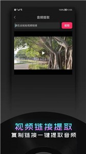 音频提取神器  v1.5.11