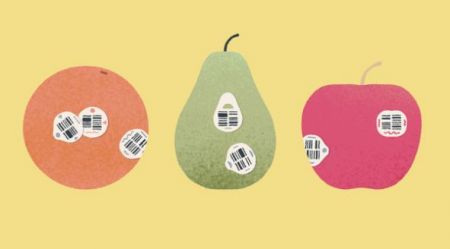 向左一点点手机版 v2.5.5