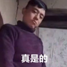 抖音铁山靠邦邦两拳表情包 v1.0