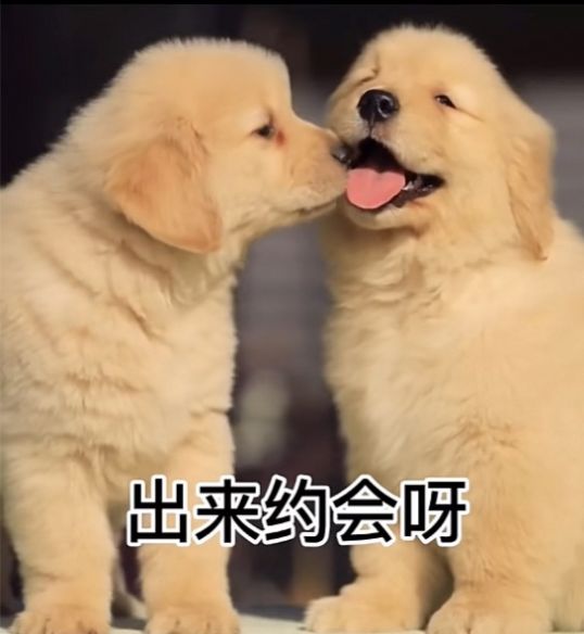 出来约会呀我馋你了表情包图片 v1.0