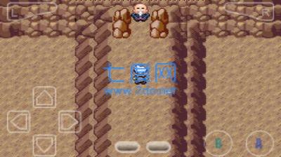 口袋妖怪火红全随机版