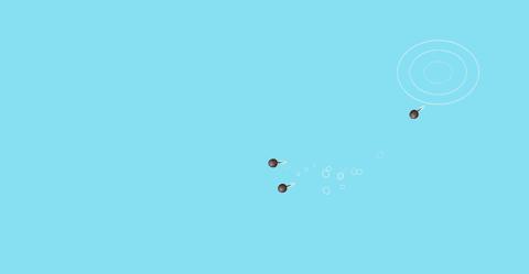 召唤神龙1.0版本