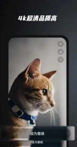 余香壁纸2022  v1.0
