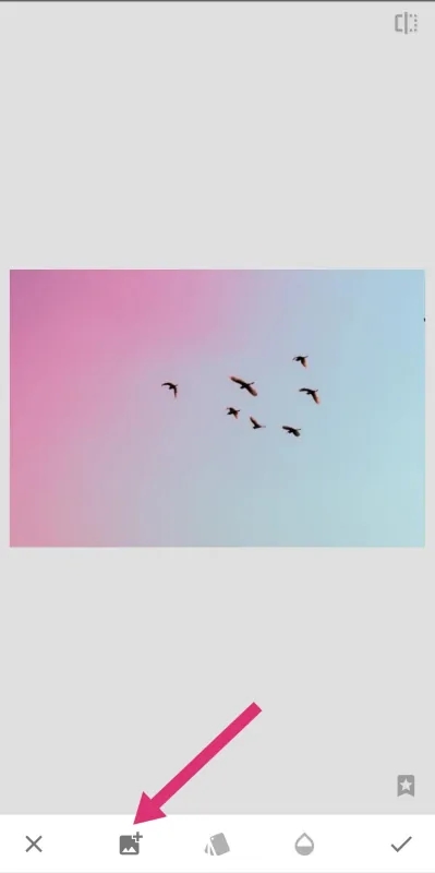 Snapseed小叶子App