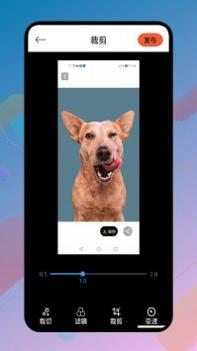 VidTrim视频制作 v3.0.5