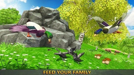 鸭子丛林模拟器 v1.6