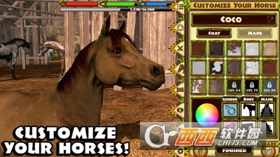 野马模拟游戏 v1.0 安卓版