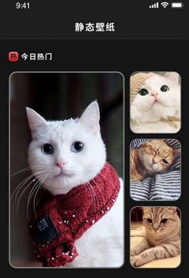 喵喵之家壁纸 v1.1