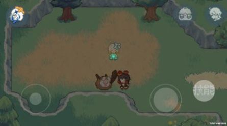 睡觉的胡桃.jpg 睡觉的胡桃.jpg