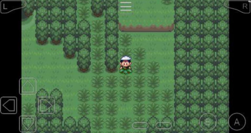 究极绿宝石之黎明的送葬金手指汉化最新版  v3.0.3