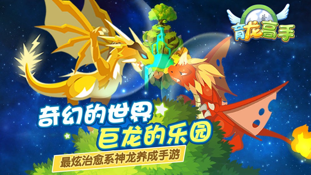 育龙高手截图1