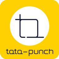 TataPunch智能搏击