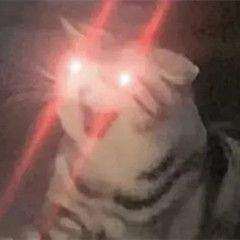 熊猫头红眼特效表情包图片 v1.0