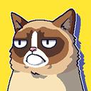 不爽的猫Grumpy Cat