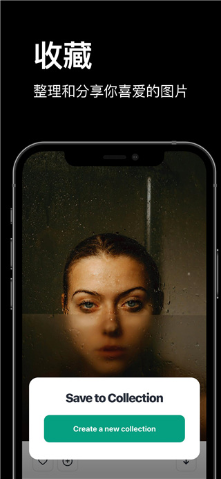 pexels官网版 v4.3.9