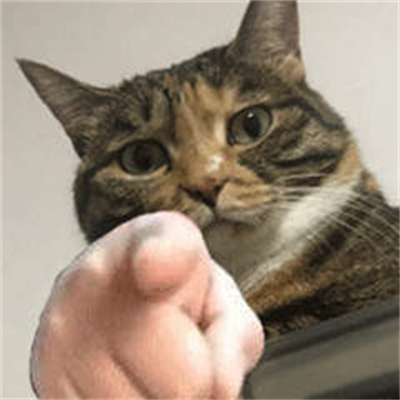 指人专用表情包 v1.0