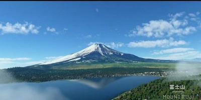 民航模拟器中文版 2021-05-26 09:38