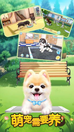 萌宠需要养 v3.0.5