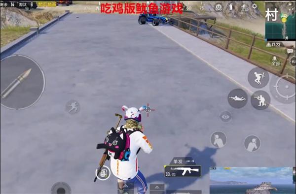 和平精英版鱿鱼游戏  v1.15.13