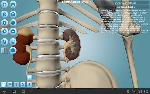 Anatomy 3D 版本:v1.47