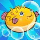 河豚的秘密Blowfish