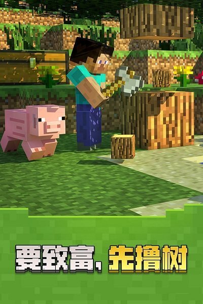 我的世界破解钻石货币版 v1.18