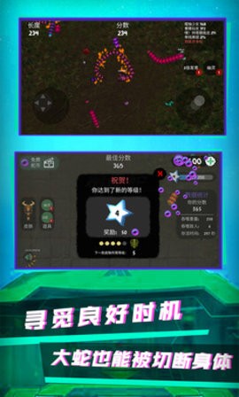 你是来玩蛇的吧