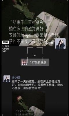 熬的不是夜,是短暂的自由背景图片 v1.0