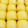 玉米面大馒头视频软件最新版