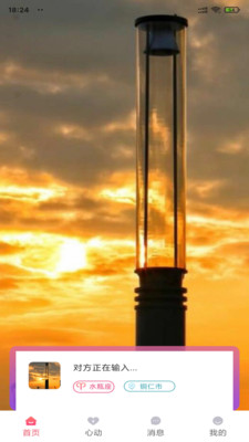 小蝌蚪视频截图2