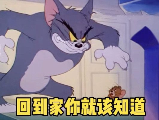 谁才是一家之主猫和老鼠表情包图片.jpg 谁才是一家之主猫和老鼠表情包图片.jpg