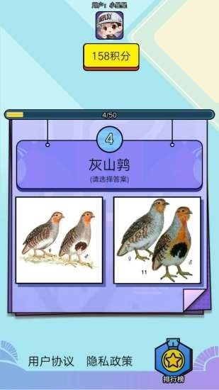 飞鸟乐园 2020-06-18 11:36