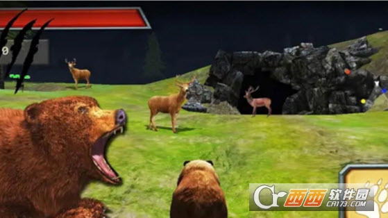 小熊的蜂蜜 v1.00安卓版