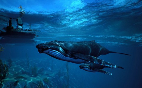 食人鲨 2020-05-19 17:31