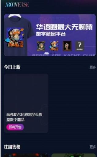 arcoverse截图2