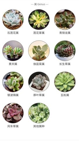 多肉植物陪护记截图0