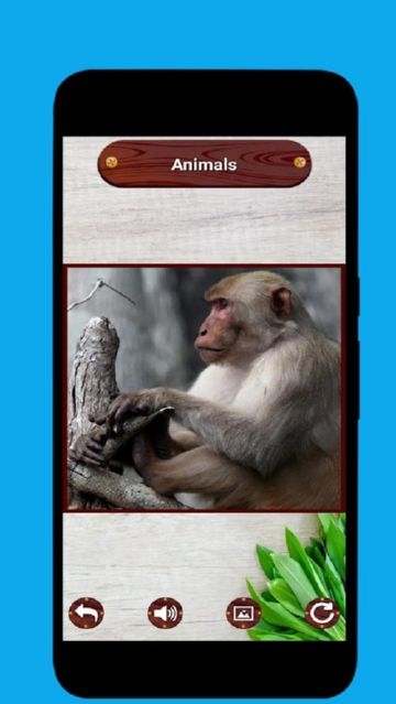 Animal Picture Making Puzzle(动物图片拼图) 1.1 安卓版