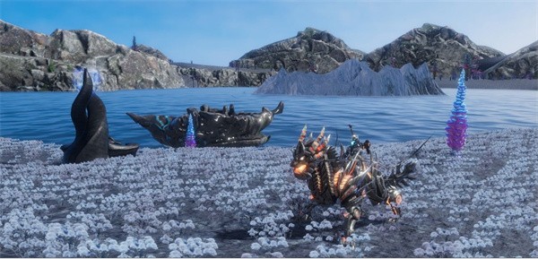 时间秩序测试服