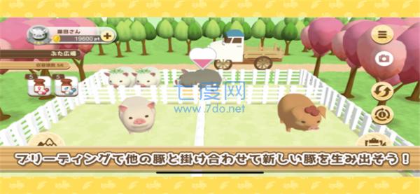 养猪场3D红包版