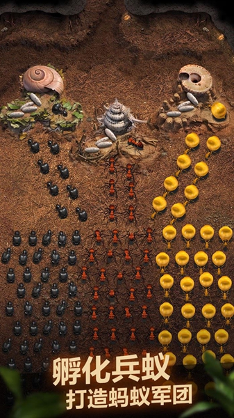 1628497204105036.jpg 1628497204105036.jpg