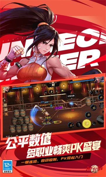 DNF手游测试服  v101.0.2.0