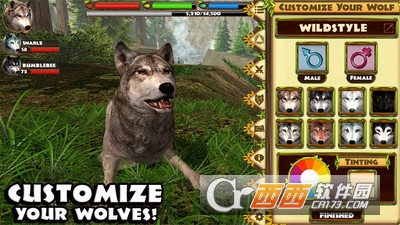 野狼模拟3D游戏 v2.1 安卓版